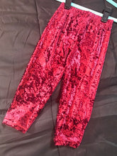 Load image into Gallery viewer, Velvet Leggings
